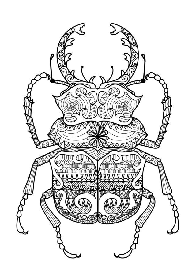 Coloriage Adulte Zentangle Scarabee Par Bimdeedee - Adulte à imprimer
